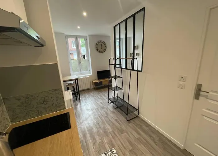 Apartment Petunia - - Proche Centre Avec Jardin Bolbec